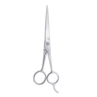 SUNDEN Premium Stainless Steel Haircut Scissors 20802/Haircut/Haircut/Styling Design Scissors/