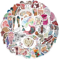 cartoon organ anatomy Stickers Biology Skeleton 50 Pieces