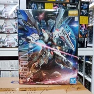Gundam MG FREEDOM GUNDAM (61611) 04883