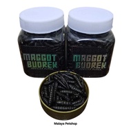 Maggot Budrek 30 gram by Sainthan (Maggot sesuai untuk channa yellow sentrum, red barito)