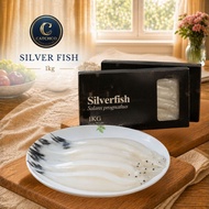 Silver Fish 1kg - Salanx Prognathus