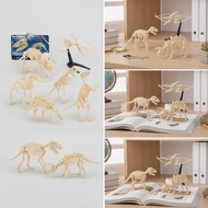 6 Pieces Dinosaur Fossil Skeleton Building Kit Archaeology Dinosaur Skeleton Kit Fossil Reproduction