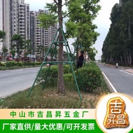 Fixed Support Frame Galvanized Steel Pipe Tree Wholesale Support Rod Support Rod Greening Manufactur
