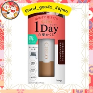 Cielo One Day 1Day Gray Hair Mask Natural Brown Dye Only 1 Day Before Going Out Gray Hair Dye Hoyu