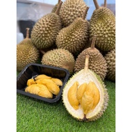 D13 Johor Red Prawn Durian 530g /box