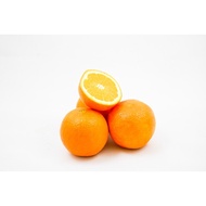 Fruitland Orange 5pc