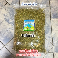 Chopped Alpha Grass Weight 1 Kilogram Timothy Hay Alfalfa Hay Hay