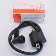 Universal GY6 125 Motorcycle Ignition Coil