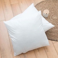 Sofa cushions, chair cushions 453.545cm, 50x50cm/