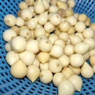 Bawang Putih TUNGGAL JANTAN 250GRAM