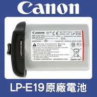 【現貨】正品 Canon 原廠 電池 LP-E19 R3 1DXIII 1DXII 1DX3 1DX2 MARK II 