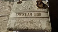 #618年中慶 Dior迪奧-中碼黛妃包-2022早春白金刺繡限量版