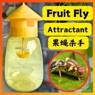 Fruit Fly Trap Bottle Insect Flies Catcher Fruit Fly Attractant Container Perangkap Serangga Lalat B