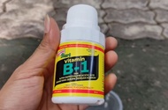 vitamin b1 untuk tanaman