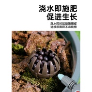 Simple Jade Fertilizer Box Bonsai Tool Special Box Fertilizer Application Basket Fertilizer Box Suns