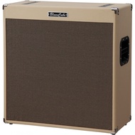 Roland Blues Cube 4x10 Inch Speaker Cabinet 1-Year Warranty