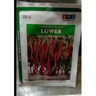 READY benih cabe kriting LUWES f1 10 gr