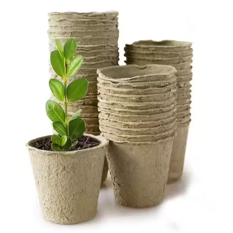 30pcs Paper Grow Pot Nursery Cup growing pot box Tray Seed veg planter Plant Starter Flower Herb Bio