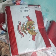 20 4 meter garuda layur pennants August pennant/s