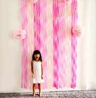 Crepe Paper Tissue Streamers Party Backdrop / Background
