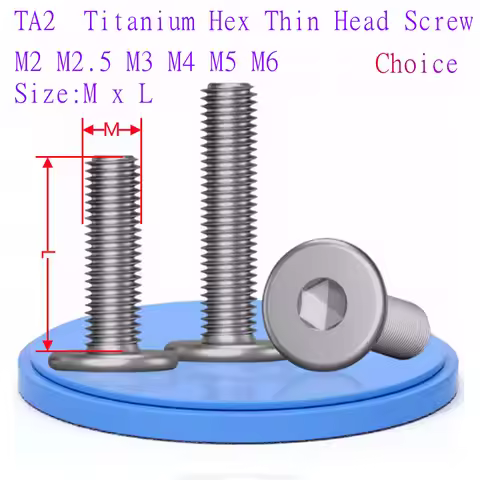 5pcs-10pcs Hex Thin Titanium Screw M2 M2.5 M3 M4 M5 M6 GR2 Titanium Hex Ultra Thin Flat Wafer Head S
