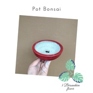 pot bonsai bermacam bentuk dan ukuran / pot bonsai langka/ pot bonsai unik murah
