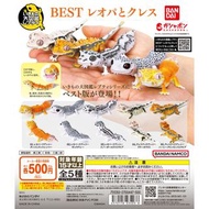 [現貨] 扭蛋 The Diversity of Life on Earth REPTI BEST LEOPARD GECKO &  CRESTED GECKO / 大圖鑑系列 豹紋壁虎&睫角守宮 (