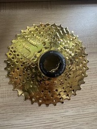 Sunshine 10速 卡式飛輪 11-36t 金色