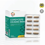 [RAYA PROMO ] GKB Cordyceps Cicadae 350mg (60'S)虫草 金蝉花 | Eye Supplement | Trea‘tment For Glaucoma
