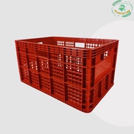 ลังพลาสติก ขนาด 37.0 x 55.5 x 30.5 cm ลังผลไม้ ลังเก็บของ ลัง แบบโปร่ง ตะกร้าผลไม้ ลังโปร่ง 426 (มัด