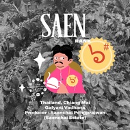[NiP COFFEE] Saen เมล็ดกาแฟไทย Rank 6 Honey SCATH 2025 Thailand Chiang Mai Galyani Vadhana - Java Sy