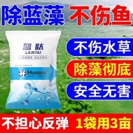 (Hot Sale)【Powerful Blue Algae Removal】Special Effect Removing Blue Algae Green Algae Harmful Algae 