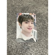 DOYOUNG TREASURE PHOTOCARD