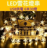 HS - 全城熱賣- [LED雪花燈串] USB供電 6米30燈 小燈泡 聖誕裝飾 節日裝飾 聖誕派對 裝飾品 慶祝用品 Christmas PartyRoom