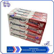 Paket Hemat 12 Pepsodent 1 Lusin Odol 12 Jam Pasta Gigi Pencegah Gigi Berlubang 75GR