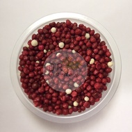 Slow Release Fertilizer | Osmocote Fertilizer Red