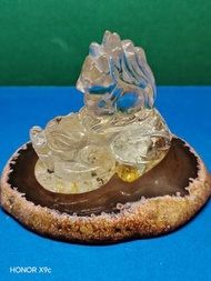 白水晶龍龜九尾狐