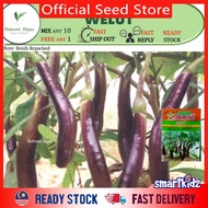 Pelbagai benih TERUNG BRINJAL Panjang Bulat Kedut Asam Ungu Hijau Putih repacked seed terung susu eg