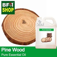 Pure Essential Oil (EO) - Pine - Pine Wood Essential Oil - 5L