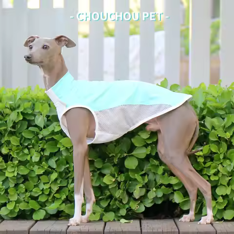 Italian Greyhound (Iggy) Whippet/SalukiSummer Cooling T-Shirt new varieties