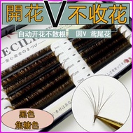 [Ready Stock] Black Caramel Color Round Hair V-Shaped One Second Automatic Flowering VV Grafting Eye