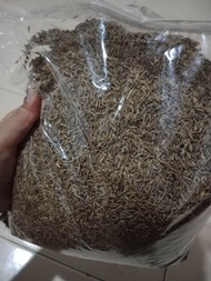Jintan putih 1kg cumin seeds 1kg herbs cumin seed 1kg rempah jintan putih