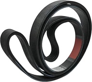 Obida BT003100AV 3X542 PJ1245 490J6 Belt Replaces Campbell Hausfeld 49" Micro 6-Rib Poly-V