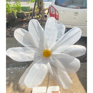 Daisy flower giant flower daisy giant aster flower giant gelbra