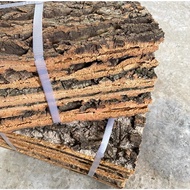 Natural Flat Cork Bark For Reptile Terrarium