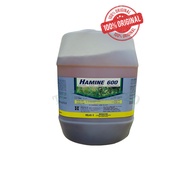 HALEX HAMINE 600 20Litter (Bahan Lebih Daripada CH AMINE 48) RACUN RUMPAI/RUMPUT amine60%