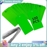 100 Pieces 4 3/4Inch X 2 3/8Inch Plastic Shipping Tags with Wires Blank Labeling Tags Waterproof Han