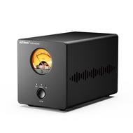 AIYIMA A20 Mono TPA3255 OPA1612 Hi-Fi Fully Balanced Mono Power Amplifier 300W 4Ω Class D Retro VU M