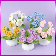 Colorful 5-Cotton Woolen Flower Pots, Desk Decoration, Desk, Car, Wedding, decor, Beautiful