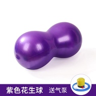 ลูกบอลโยคะลูกบอลถั่วลิสงหล่อสําหรับอุปกรณ์ออกกําลังกายและนวดสําหรับเด็ก Baby-Friendly Big Dragon Bal